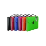 Archivo Expandible Tipo Acordeon Plastico Oficio (Neon). 13 Divisiones Studmark St-00396. Colores Surtidos